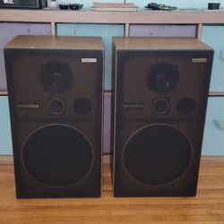 Pioneer cs cheap g303 speakers