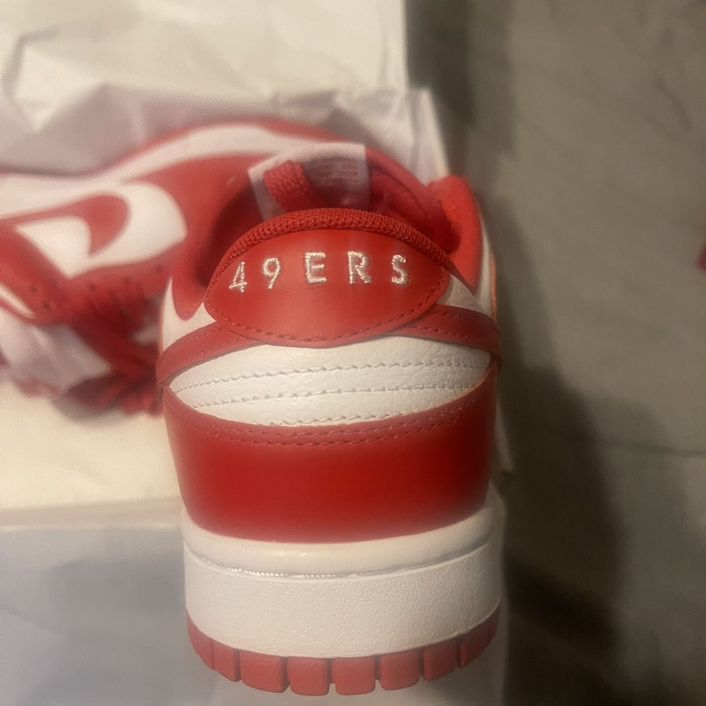 Nike Dunks 49’ers