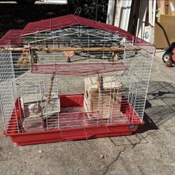 Bird Cage NEW
