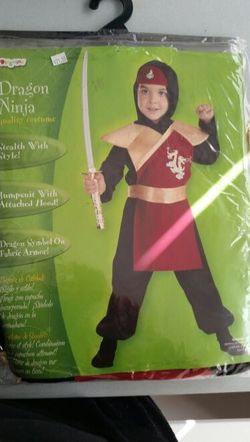 Dragon ninja