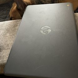 Hp Chromebook