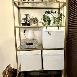 Gold Glass Shelf  (2) 