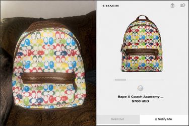 Limited Edition Coach x Bape backpack