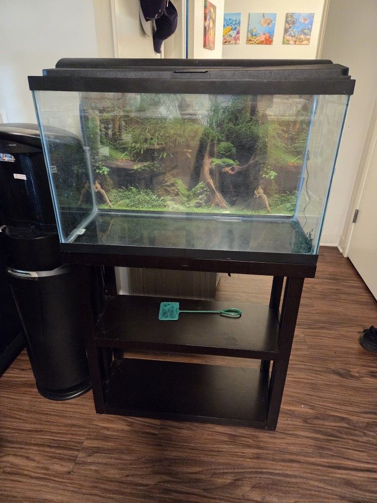 29 Gallon Aquarium