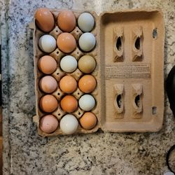 Fresh Eggs 