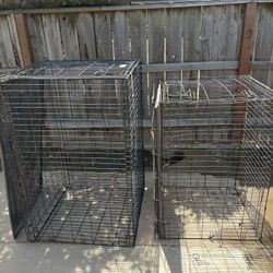 Dog Kennels 