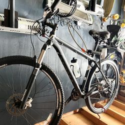Specialized Rockhopper mountain Bike 