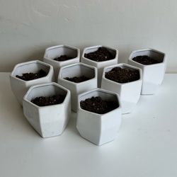 8 White Hexagon Succulent Pots