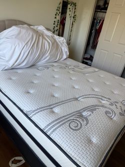 2 queen beds for sale
