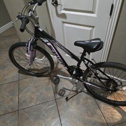 24 Inch Bike,,Schwinn 