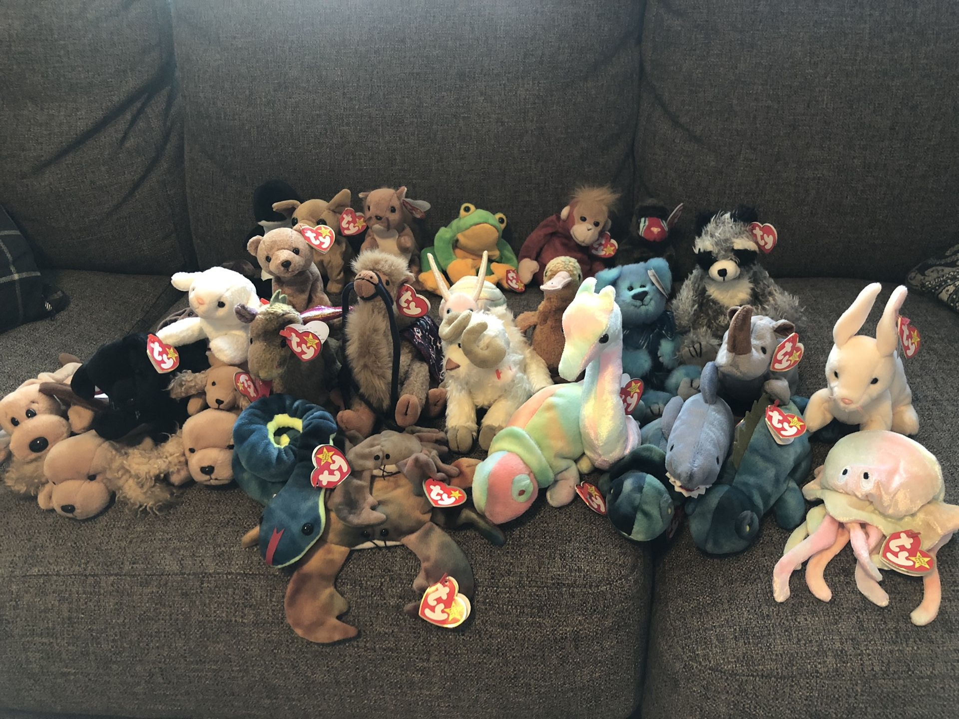 Beanie baby collection