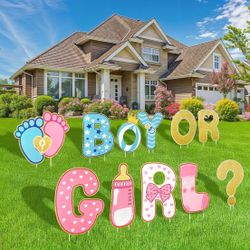 Gender Reveal LETTERS 