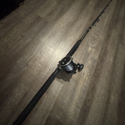 Penn Rival 30 Level Wind Fishing Combo.  Ready to Go. Great For Beginner. 