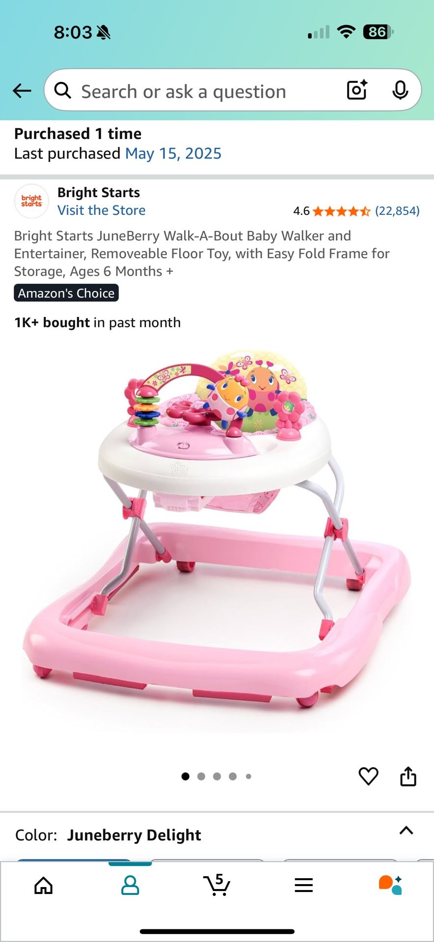Baby Walker