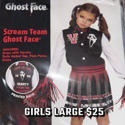 Girls New Large Costume