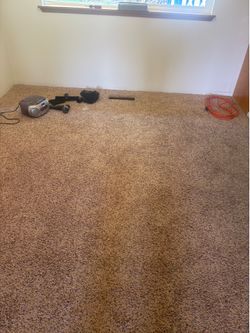 Carpet