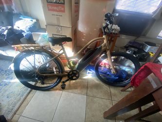 Ascend E Bike