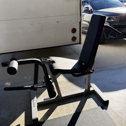 Leg Extension And Supine Curl