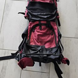 Sherpani Baby Carrier Backpack 