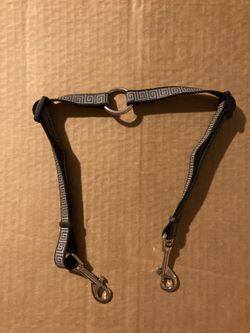 Dual Dog Leash for Two Dogs Splitter No Tangle Small Dog