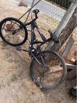 Adult mountain bike