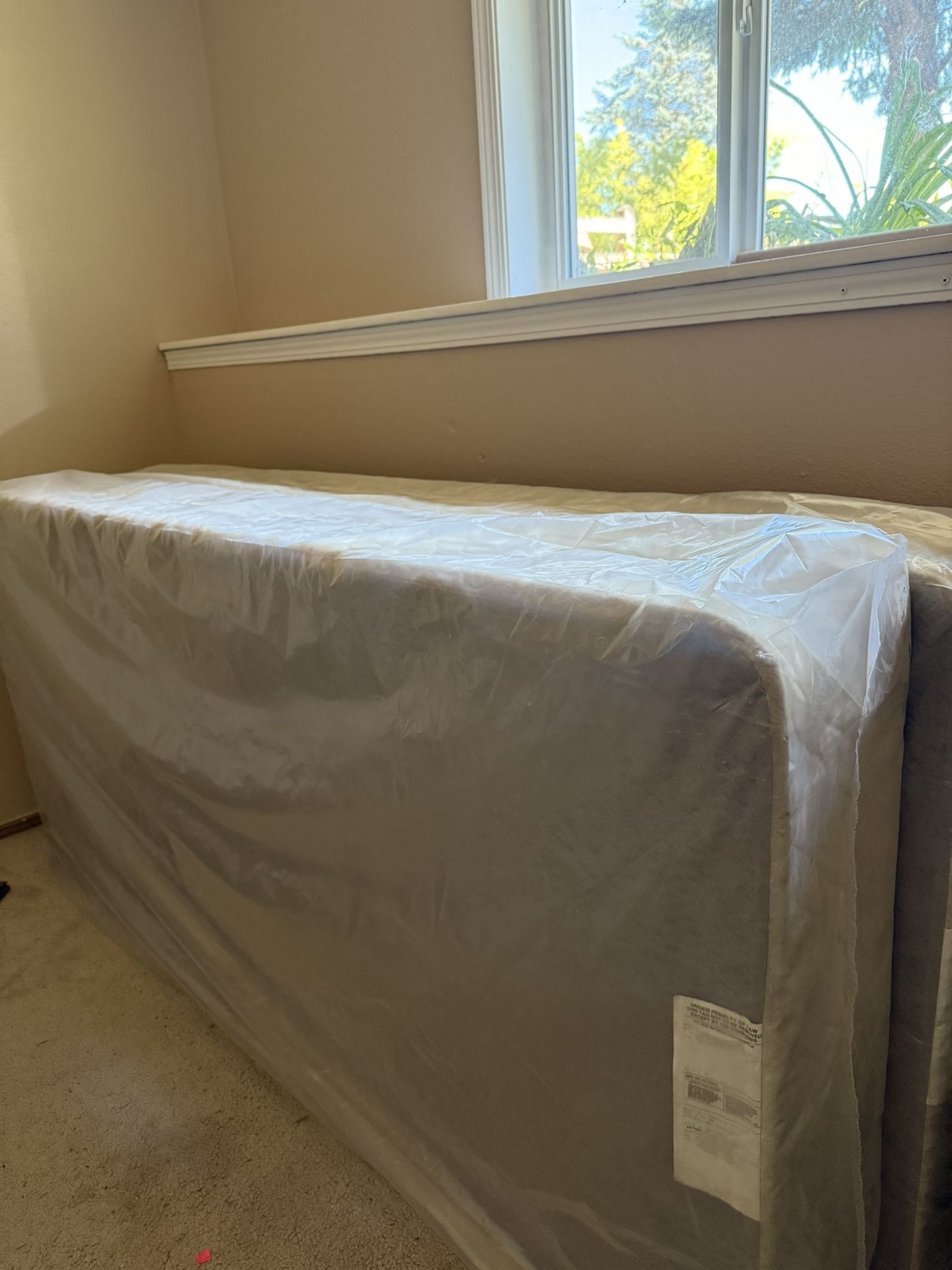 2 Long/Tall Twin Box Spring