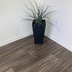 Windmill palm, evergreen Yucca with magenta blooms, and 4x4 variegated Yucca in Bullet Brown giant  planter