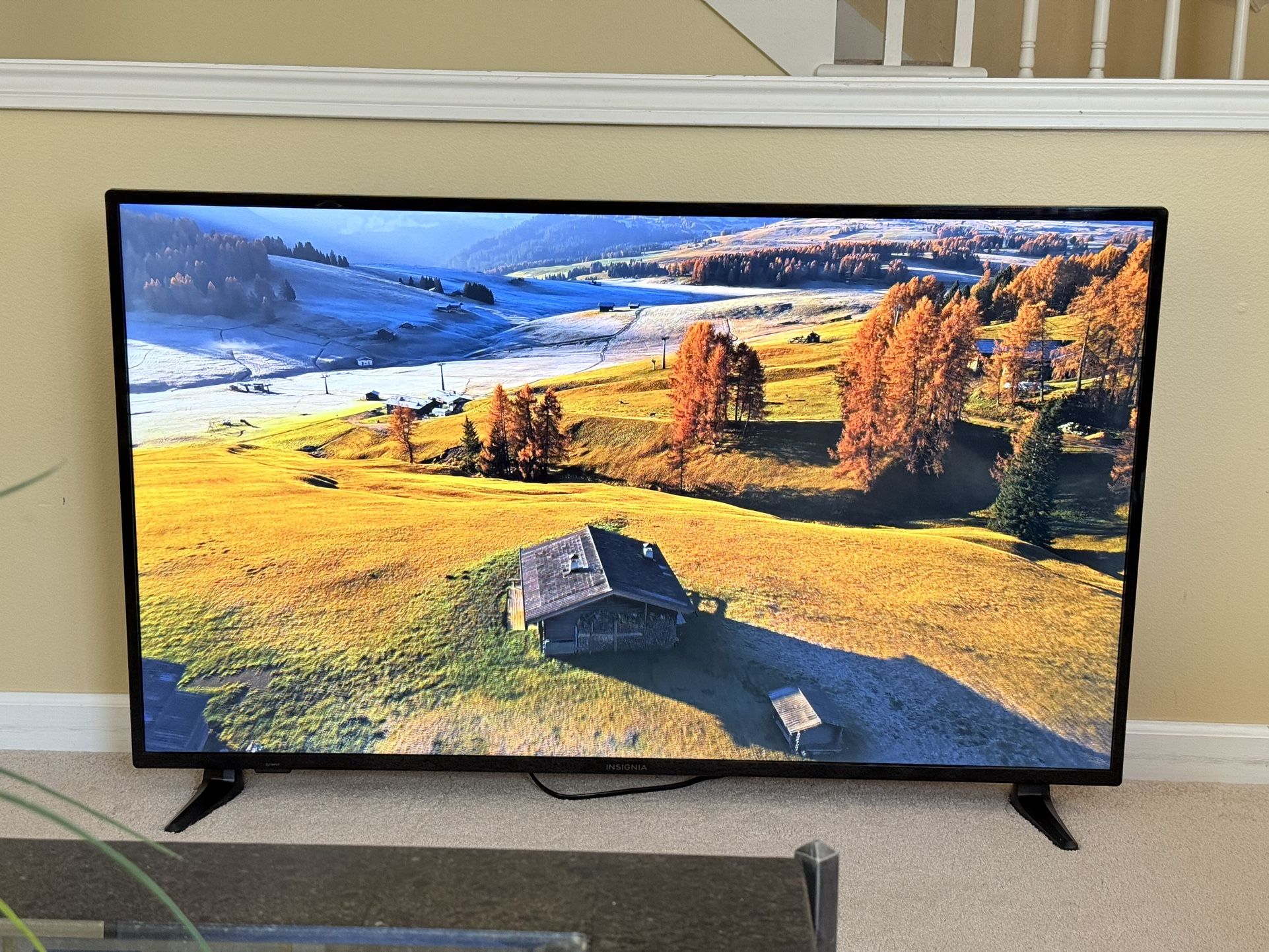 4K Insignia Smart TV - 55 inches