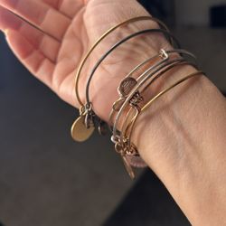 Alex & Ani 14bracelet bundle charm bracelet adjustable
