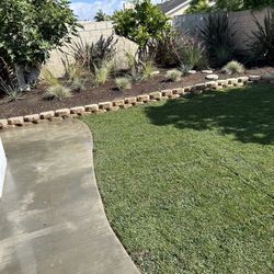 Yard Service