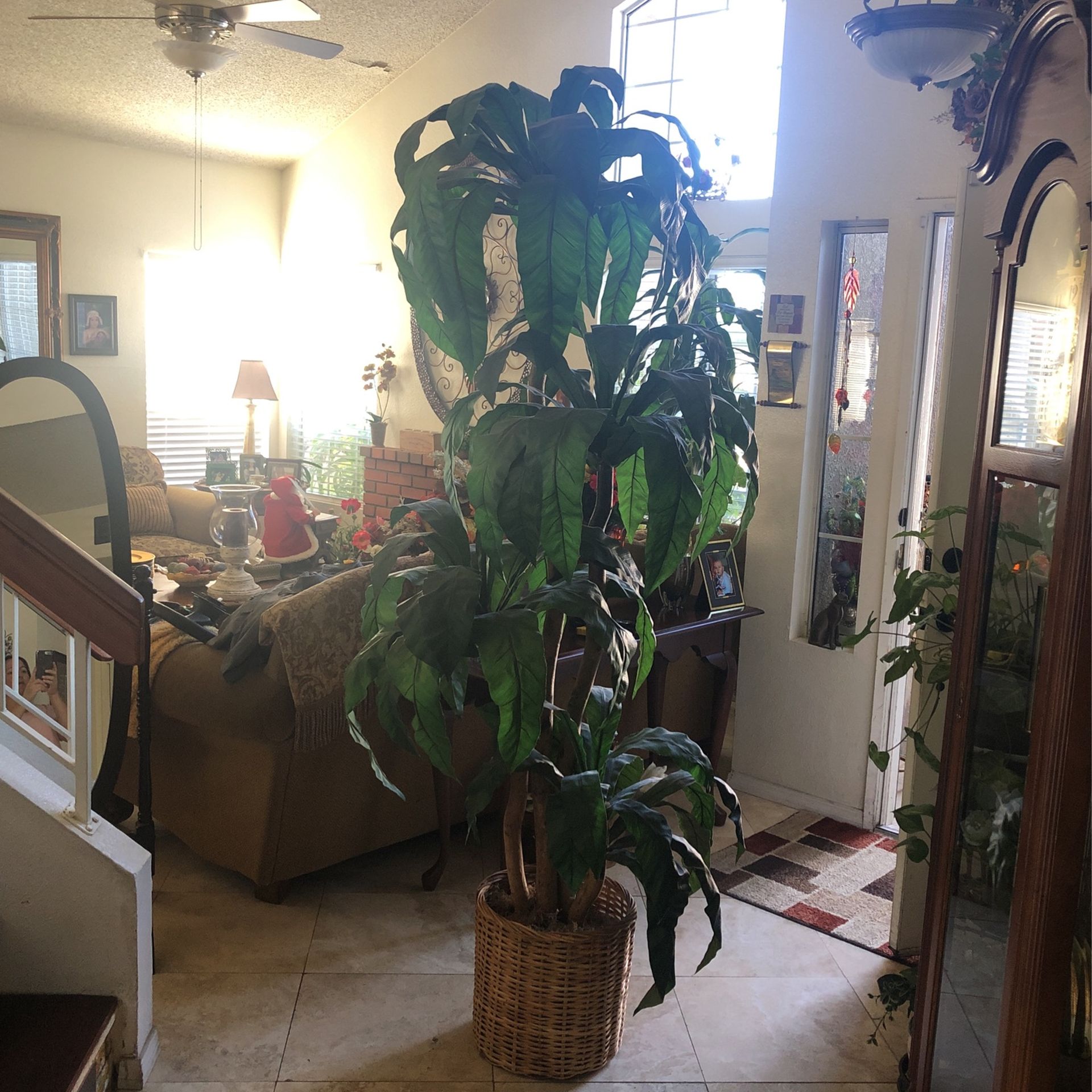 Artificial Plant 84”T