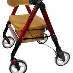 Walker Up To 450 Pounds