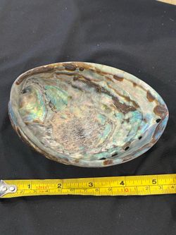 Iridescent shell