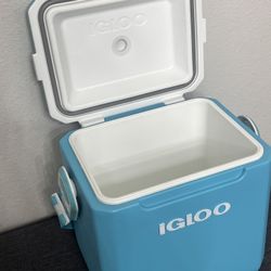 Igloo Cooler 