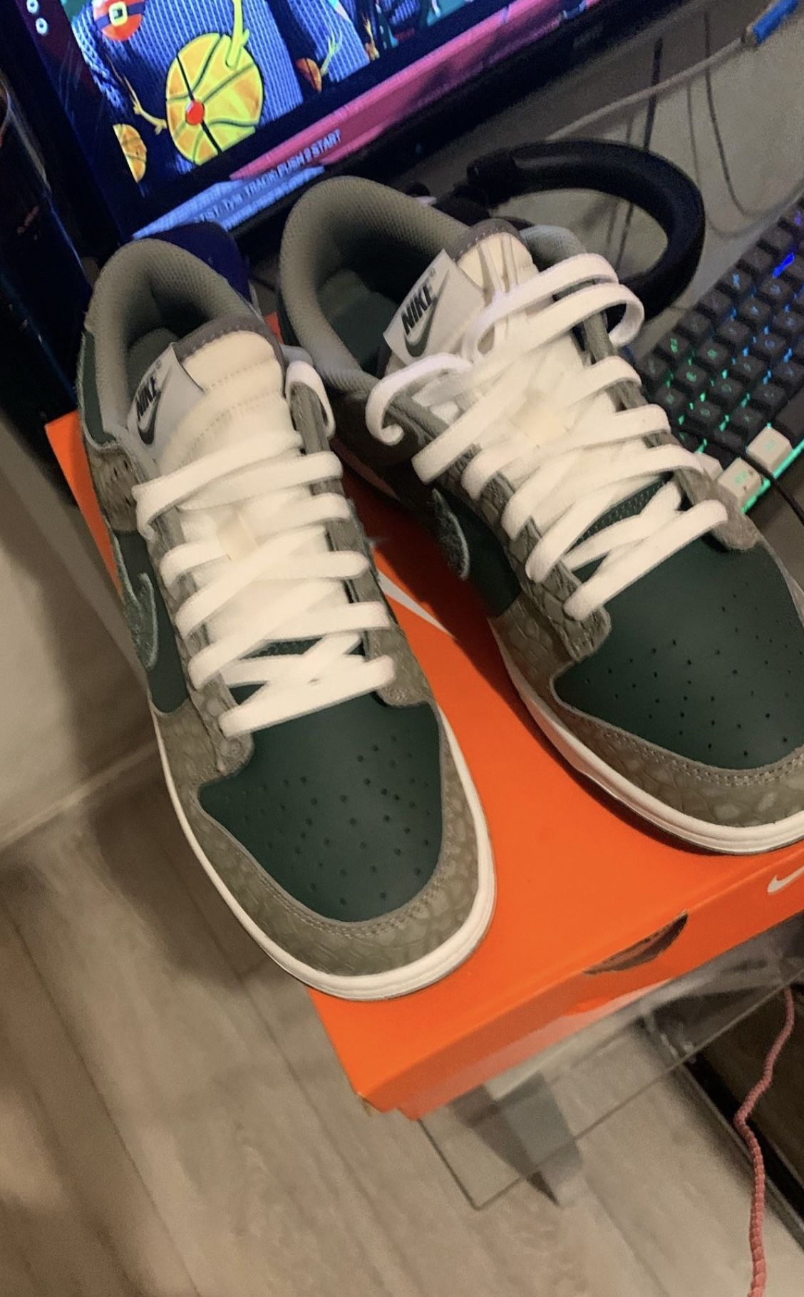 Brand New Nike Dunks Size 10 Shoot Any Price