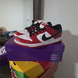 Nike SB "J-Pack Chicago"