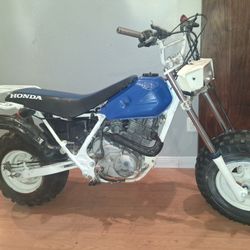 1987 Honda Fat cat