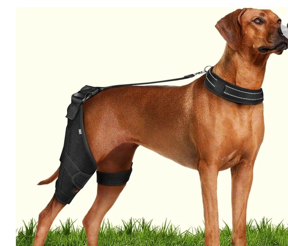 CAMRIER 2X Support Dog Knee Brace with Metal StripsĀ
SIZE: LARGE Color: Black