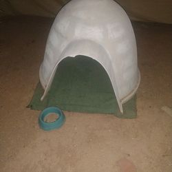 Dog House