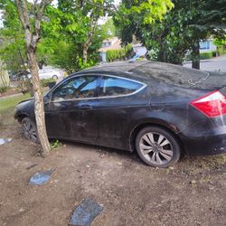 2010 Honda Accord