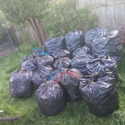 Cans Can canning 22x