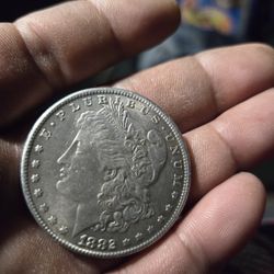 1882 Morgan Dollar