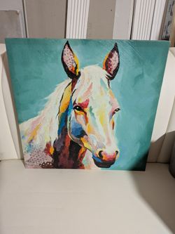 Colorful Horse Canvas Wall Art