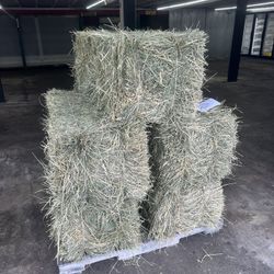 2 String Orchard Hay