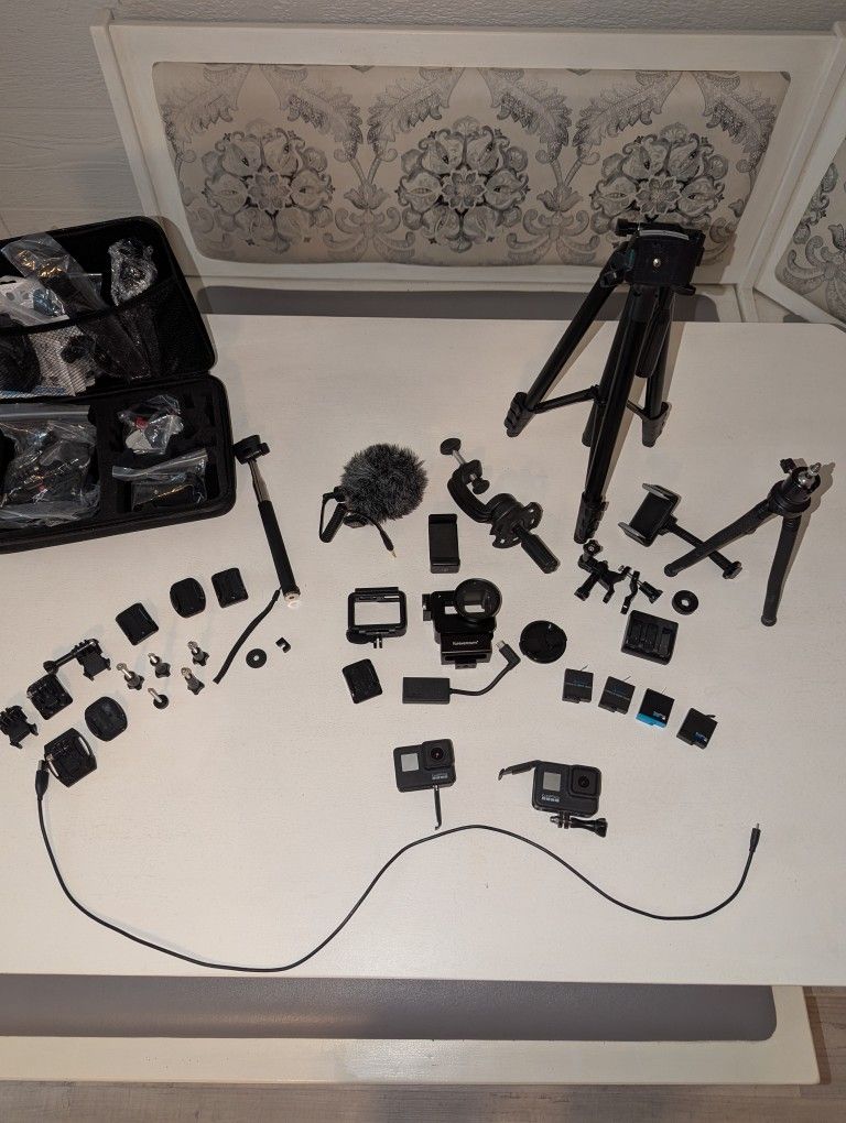 GoPro Hero 8 Black and Hero 7. $250