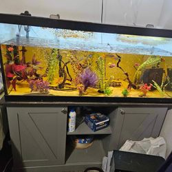 Whole Fish Tank Setup: 75 Gallon Tank, Fish, Water Pump/Heater, Tubing, Air Bubbler, Lids, Lights