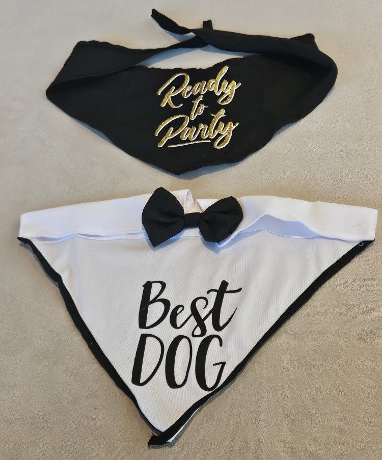 Black Bandana with the phrase "Ready to Party" & Best Dog