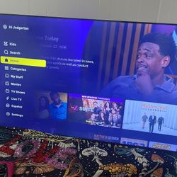 tcl roku 25’ in tv 