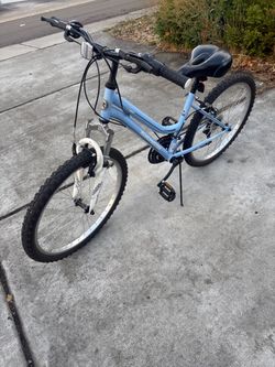 Roadmaster Bike