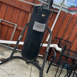 Used Ringside HEAVY Bag
